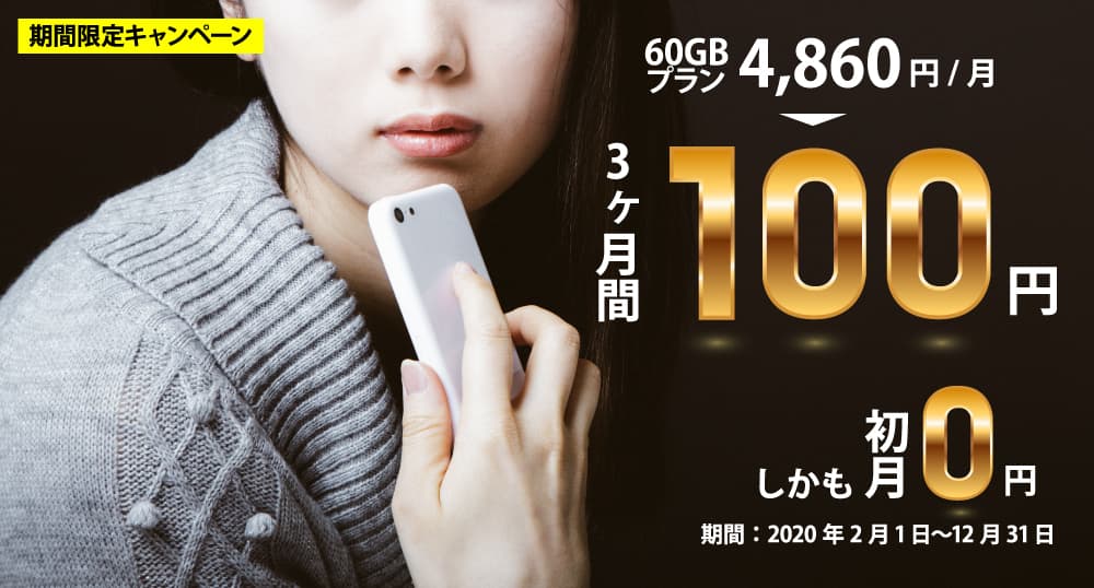 ペンギンモバイル 期間限定キャンペーン